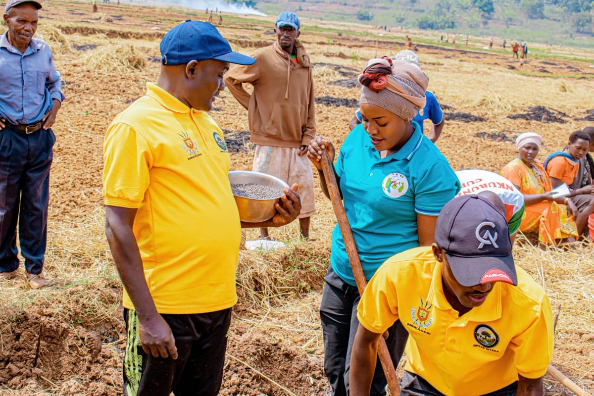 BMineagrie's tweet photo. Après la distribution des semences, le DPEAE Gitega&amp;l'Admicom de Kiganda ont procédé au lancement officiel des activités de semis du maïs dans le marais de Mubarazi
À cette occasion une démonstratº des techniques de semis a été réalisée pr montrer les bonnes pratiques à adopter. https://t.co/EhymYusbOP