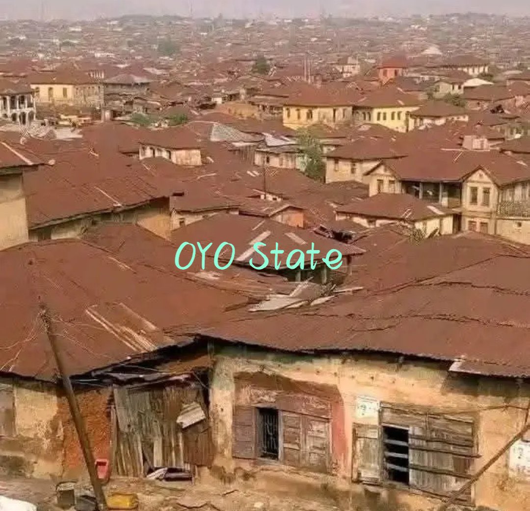 MNKshield's tweet photo. @AztecccZ Whatever helps u sleep I know brown roof republicans when I see one 
After we build Lagos https://t.co/oxLrYvfbJi