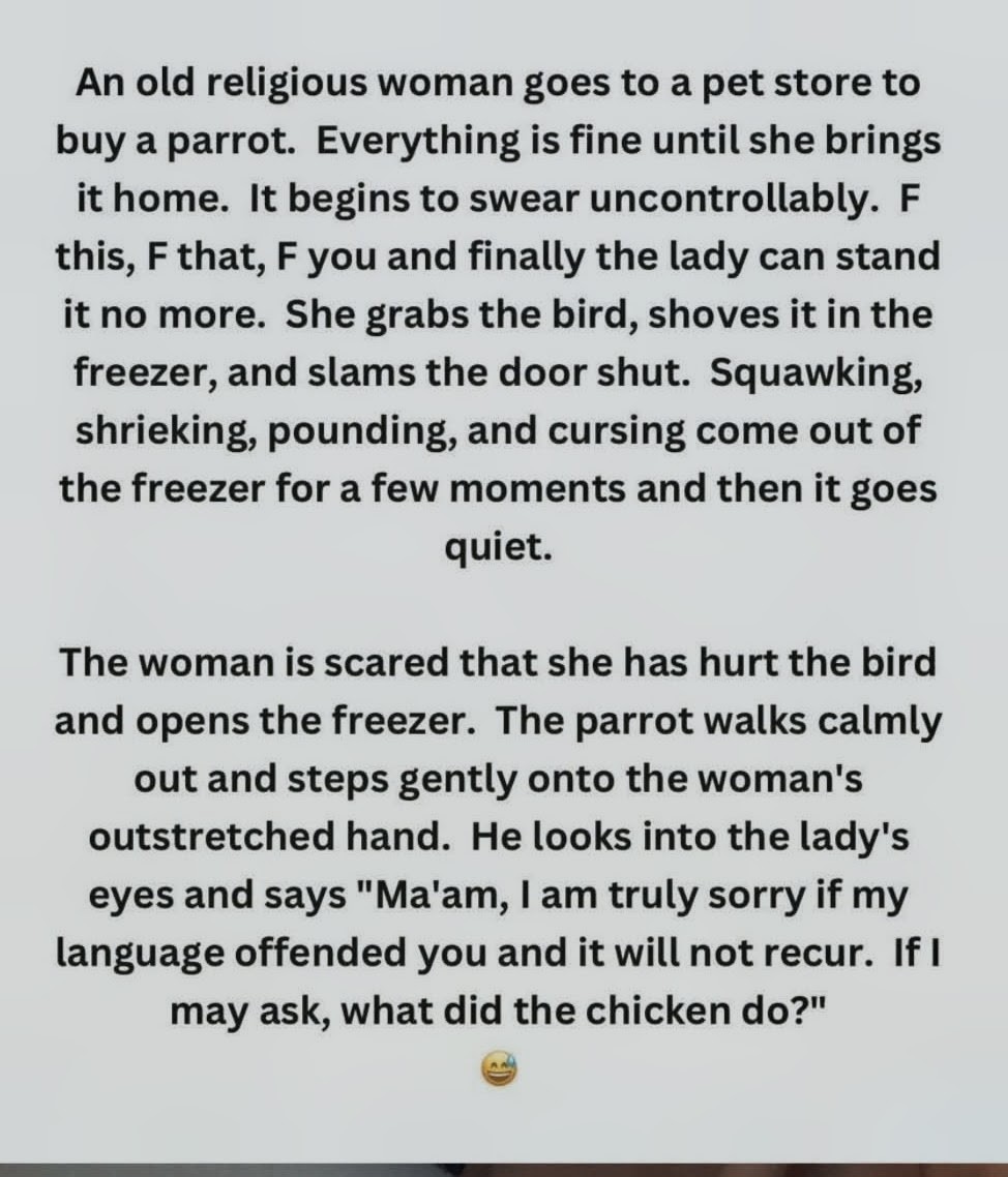 LouieKerr8's tweet photo. 🦜🤬..🐔😂 https://t.co/uAXjCWFgn8