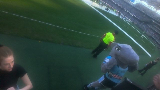 kevantan_11's tweet photo. Reefy the Sharkie Shark
See full vid here: https://t.co/nrniAcg2E7
#NRL #NRL2026 #rugby #rugbyleague #cronullasharks #CronullaSutherlandSharks #UpUp #UpUpCronulla #perthstadium #optusstadium #Perth #wa #mascot #mascots #nrlmascot #nrlmascots #Reefy #Reefytheshark https://t.co/pHrGuUURDf