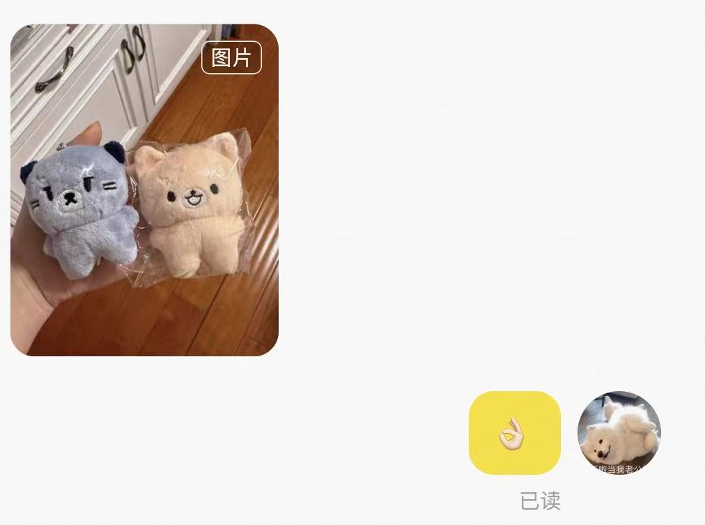 Lin77831297's tweet photo. 买到了🥺，我的许秀在哪里 https://t.co/WgOTPZmrFY