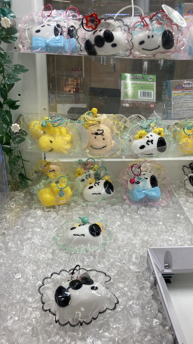 ✨ふぇすたらんど菊陽店 最新情報✨ 『スヌーピーもちふわスクイーズ
