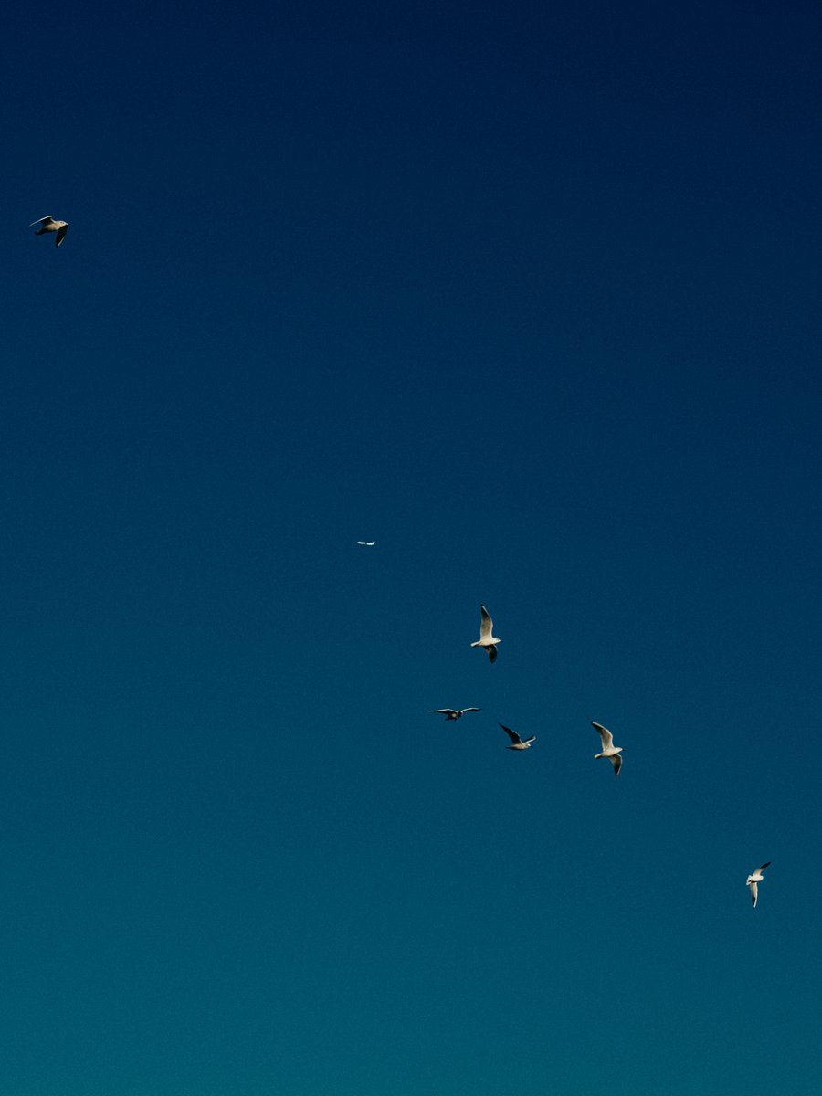 supersub_aka's tweet photo. TOKYO "BLUE" SKY https://t.co/YYW1FLxFd8
