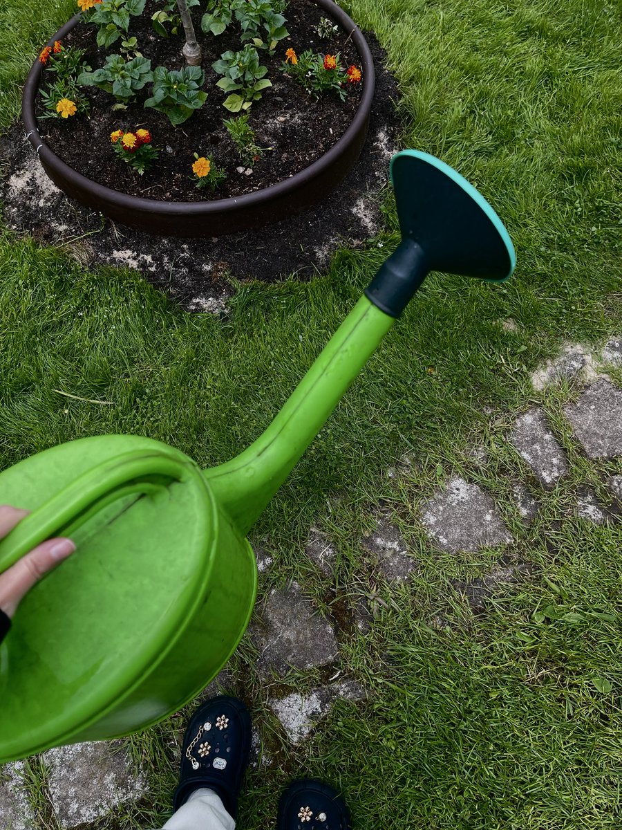 AnaGoldmann's tweet photo. Я дачница 🧺🌱🌾🏡 https://t.co/8LljdCrCKG