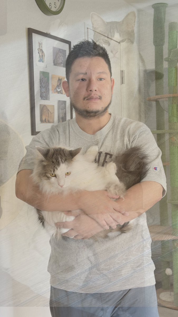 Dokinchanbot's tweet photo. 見ていいよ https://t.co/eFmYSmUVvz