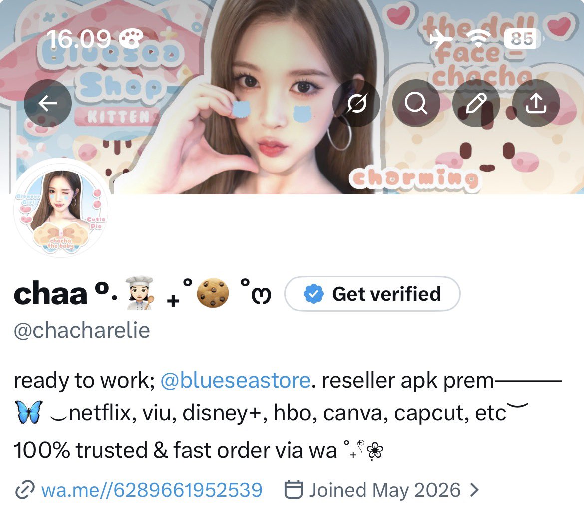 chacharelie's tweet photo. Say hi to my pretty new layout🤏🏻🩵 https://t.co/SzZmFRQ392