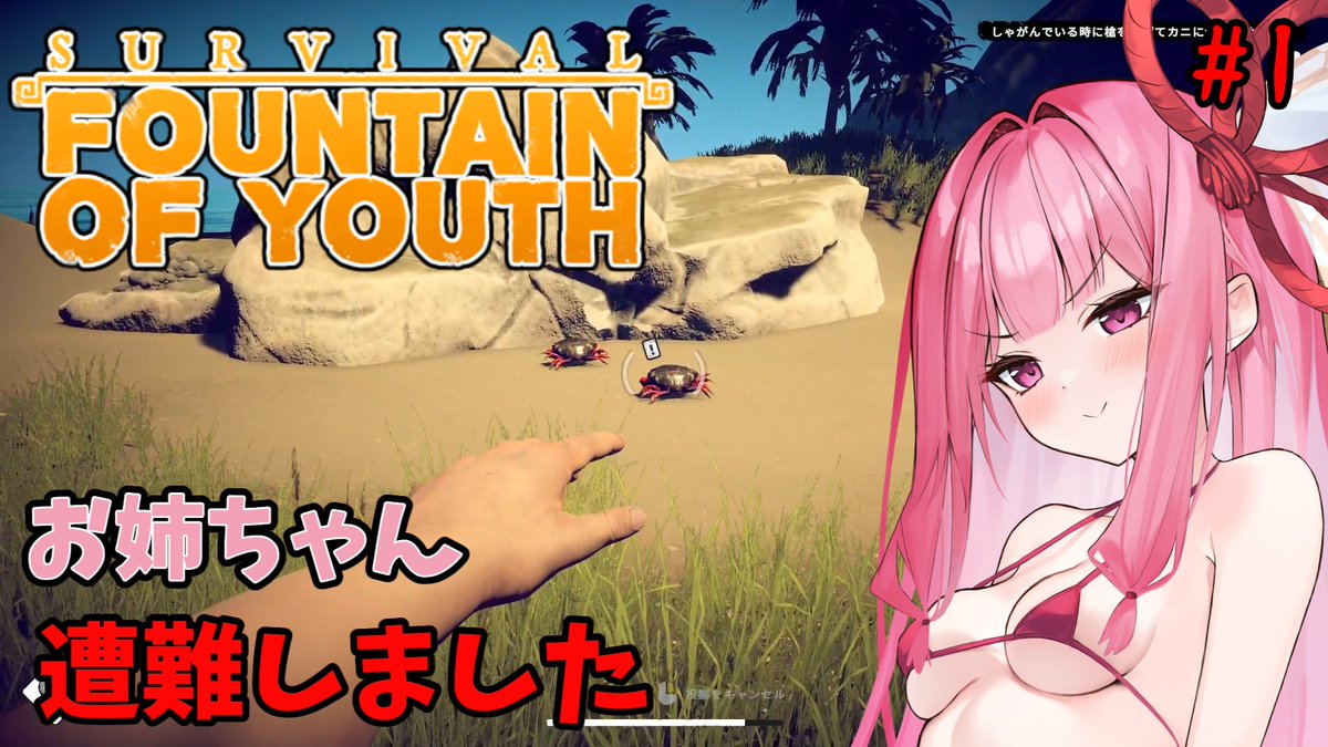 flat_age2021's tweet photo. 【Survival: Fountain of Youth】カリブ海で頑張るお姉ちゃん #1【VOICEROID】

YouTube
https://t.co/0niCvudXmS

ニコニコ
https://t.co/u5dHxeRjcF

#sm46507539
#ニコニコ動画 https://t.co/QWNpjJ2wYN