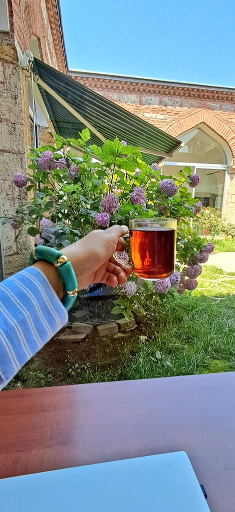 tlbzmn's tweet photo. kütüphanedeki bütün hanımlar birbirlerinin zarafetini ve şıklığını takdir ettiğine göre, artık çalışmaya başlayabiliriz. ✨️ https://t.co/fILrorPoJk