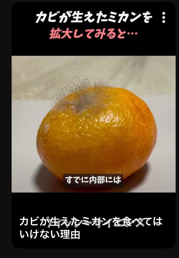 jaja0014's tweet photo. カビ生えたみかん←食べねえだろ https://t.co/oKvp5gSfpn