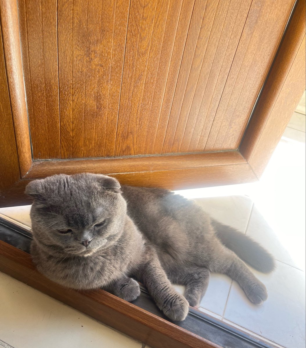 AkbulutTanr's tweet photo. Bugün kim doğdu…🎈#oğlum doğdu
Alırız bi’ Mutlu yıllar dileklerinizi
Annesi balık 🐟 oğluşum yengeç 🦀
Üzerinde bin kilo kürk var n’apsın bulduğu tüm serin yerlere yatıyor oğluşum🥰✨
#happybirtday #pitibey #yengeç #aşk https://t.co/dPbQ1HRsnc