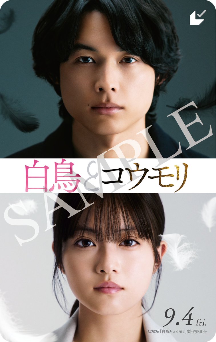 hakuchotokomori's tweet photo. ┊𝐍𝐞𝐰𝐬
⠀
#映画白鳥とコウモリ ムビチケ前売券
7/17(金)～発売開始🦢🦇⠀
⠀
カード券・オンライン券それぞれ
発売方法は👇をチェック
⠀
🎟ムビチケ・カード券
🔗全国の上映劇場(一部除く)
https://t.co/S0wiP2bbXh
🔗メイジャー通販サイト
https://t.co/OncyLenZVi
🔗MOVIE WALKER STORE
https://t.co/dpTzNwtMVy
⠀
🎟ムビチケ・オンライン券
🔗MOVIE WALKER STORE
https://t.co/FpBNMnGiAB
⠀
映画『白鳥とコウモリ』𝟗月𝟒日(金)