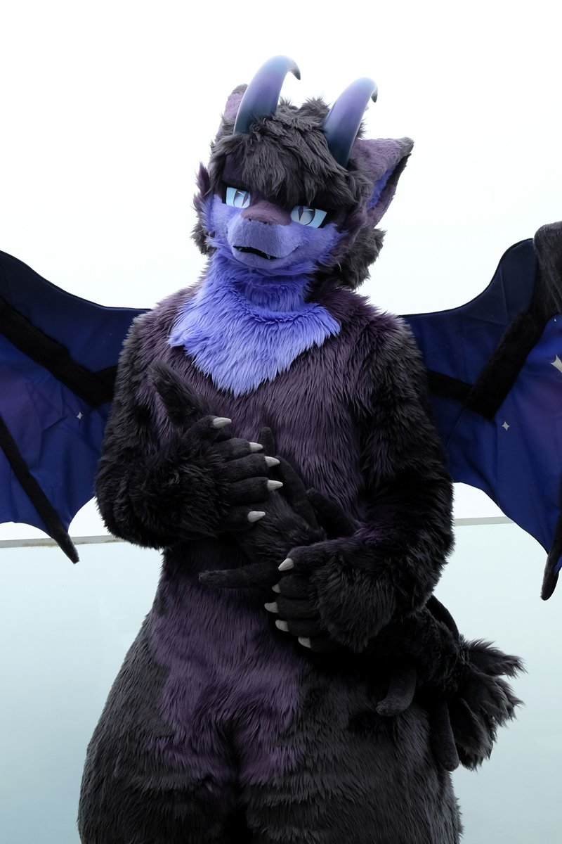 EDoxFX's tweet photo. "Who, me?" - Me, after knocking everything off the table with my wings

📸: @Alf33m 
#FursuitFriday #Fursuit #Furmony #Kemono https://t.co/1LK3pvNWTq