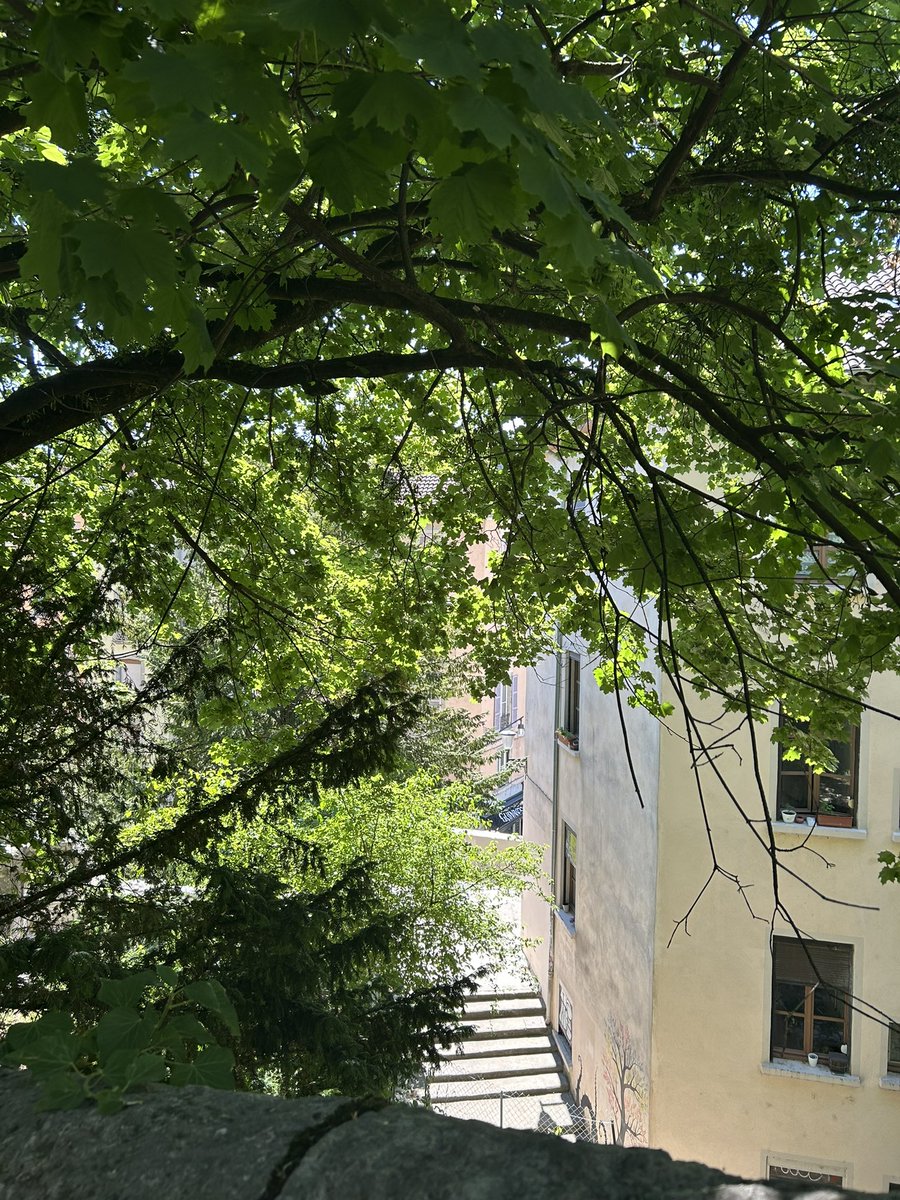 miitagon's tweet photo. 朝のお散歩🚶‍♀️気持ちいいね🇫🇷 https://t.co/7IzmMFXTyk