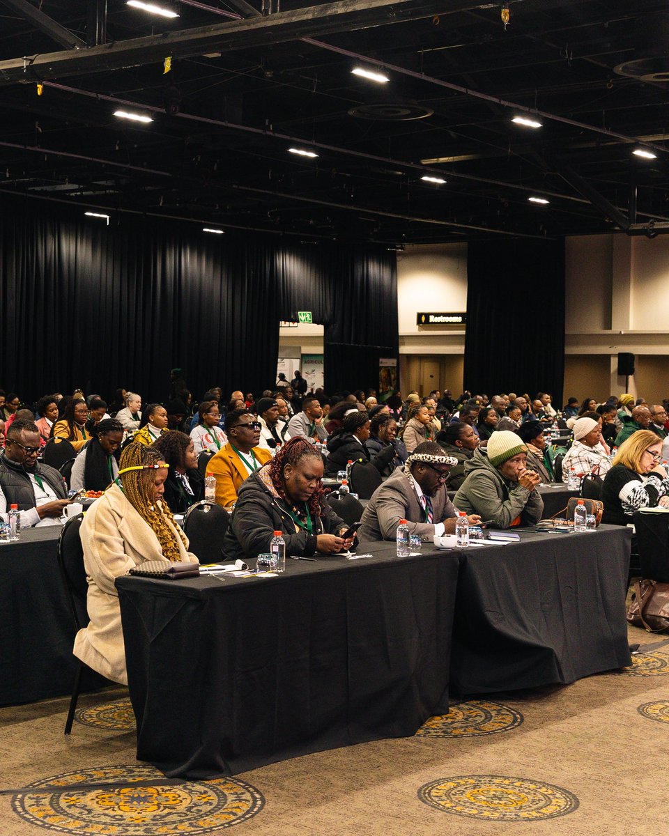 OfficialGDARD's tweet photo. Day 2 of the Gauteng Agro-processing Convention &amp; Expo will be further elevated by the attendance of Premier @Lesufi and MEC @VuyiswaRamokgop. Their presence reinforces the province’s commitment to re-imagining agro-processing and unlocking opportunities.
#AgroProcessing2026 https://t.co/IPIzQqKhPv