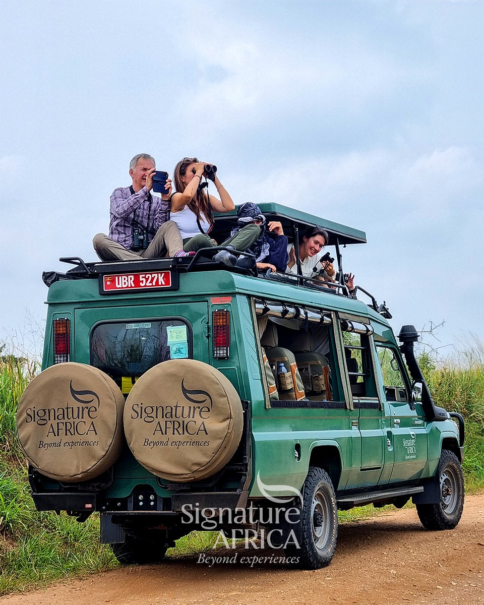 AfricaSafariss's tweet photo. Rooftop game drive β an elevated experience of shared anticipation.
Here, your lens follows movement across open grasslands, guided by instinct rather than instruction.
Beyond the familiar, discovery unfolds.
#SignatureAfrica #BeyondExperiences https://t.co/1v8rjFCkM4