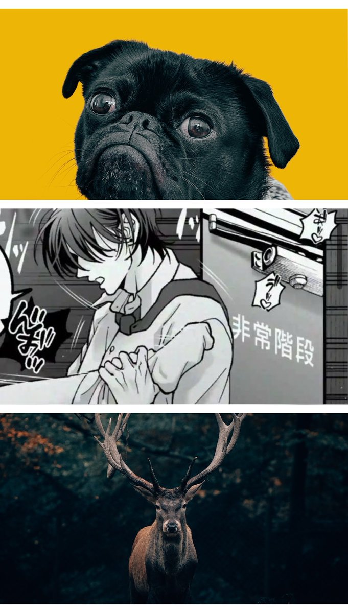 ___9mk's tweet photo. カラオケの非常階段あるある https://t.co/gtPijGUb6a