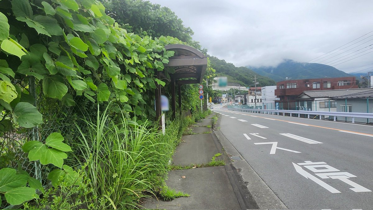 Rei0212_DB's tweet photo. 実は自分は育ちは東京だけど、生まれは山梨だったりします。
実家住みだけど山梨行くとちょっと帰省気分になる😌
ちゃんとした生まれ故郷まで行くには時間かかるから行けないけど…。

マイナスイオン沢山浴びて帰ってきた〜〜〜〜〜🫠

そしてポストの小ささを伝えたいれいを添えて。伝われ。 https://t.co/Qb0CLvuRE6