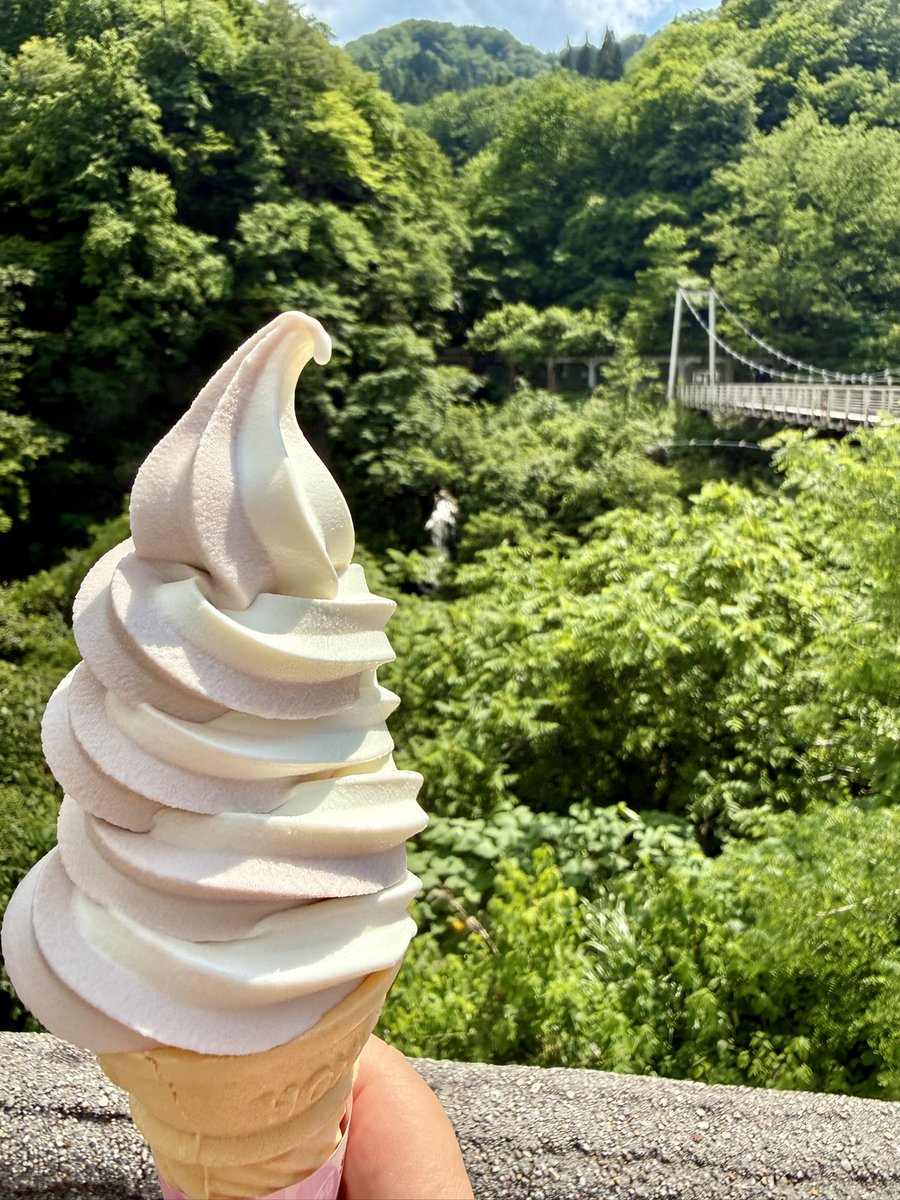 iko4071's tweet photo. 山ぶどうとパニラのミックス🍦

王道にして定番✌️😊

 #ソフトクリームの日 
 #道の駅月山 
 #月山あさひ博物村 https://t.co/OvHEgXokM7