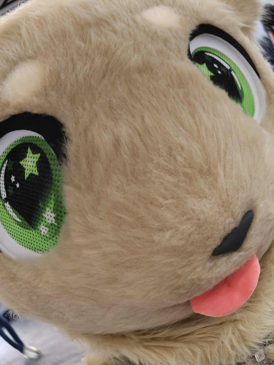 dacktef's tweet photo. 오늘은 퍼프ㄹㅏ~ ㅓ프ㅏ ㅁㄴㅇ

📷 : @BasdogNews
#FursuitFriday https://t.co/zPW7kQuMV8
