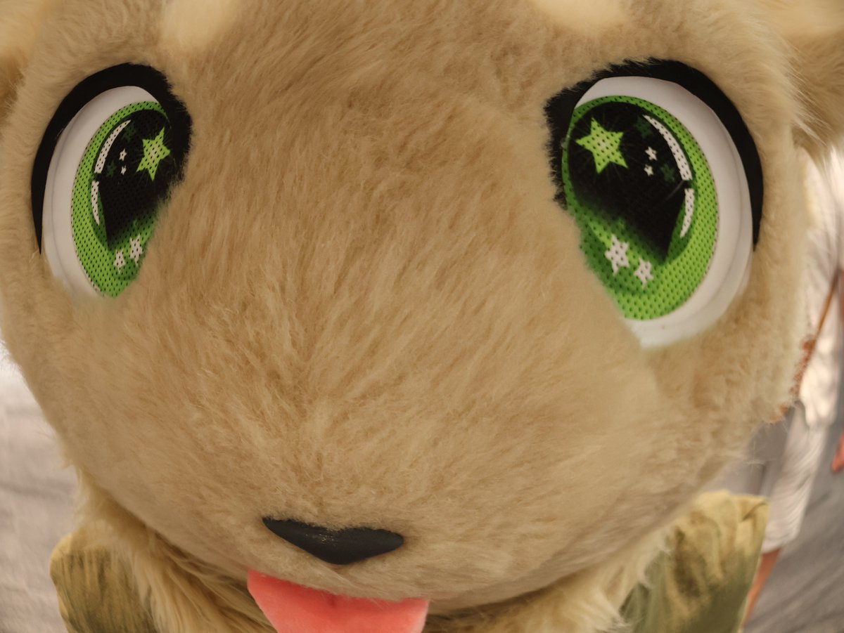 dacktef's tweet photo. 오늘은 퍼프ㄹㅏ~ ㅓ프ㅏ ㅁㄴㅇ

📷 : @BasdogNews
#FursuitFriday https://t.co/zPW7kQuMV8