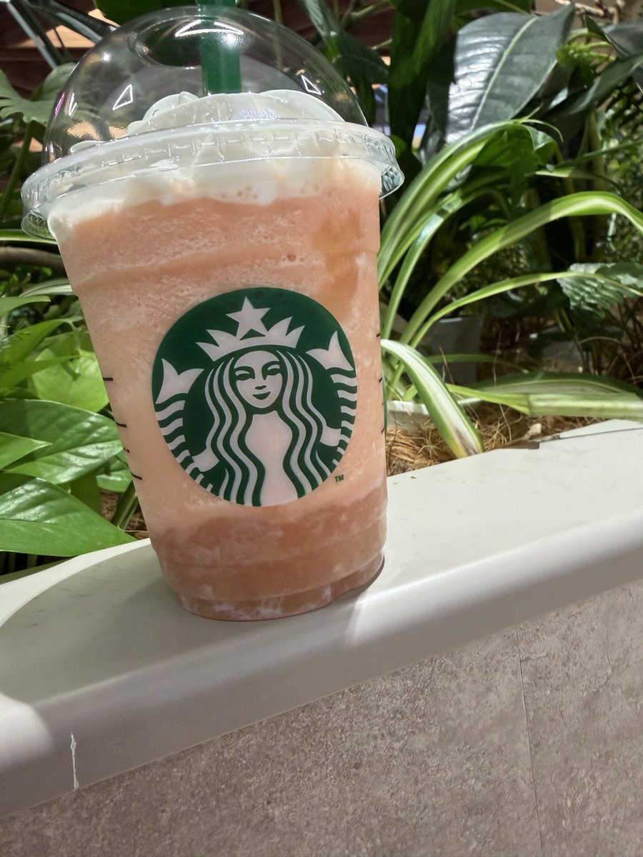 BECK733939's tweet photo. #スタバ
#ピーチ&amp;ピーチミルクフラペチーノ https://t.co/JSHtiyOup9
