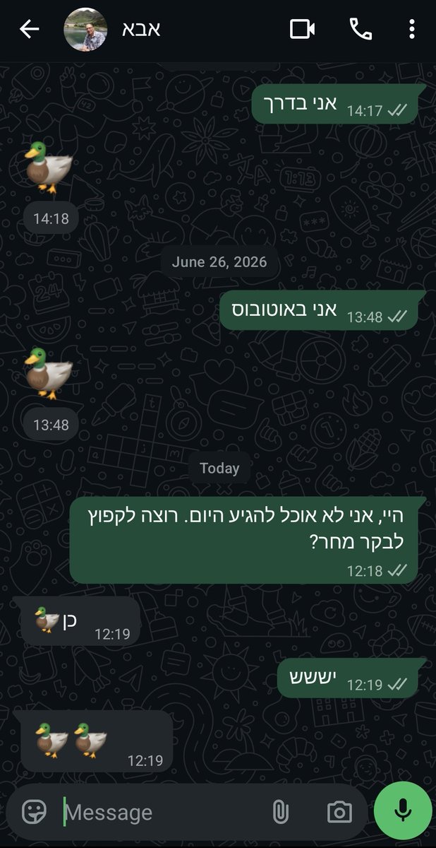 טוקסופלסמה גונדי (את/היא) tweet media