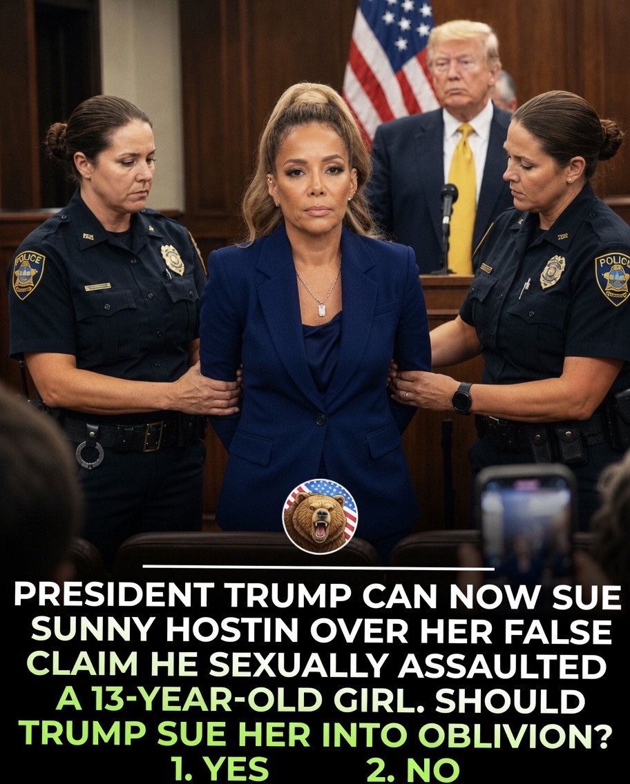 Babywwir's tweet photo. President Trump can now sue Sunny Hostin over her false claim he sexually assaulted a 13 year old girl. Should Trump sue her into oblivion?

1. YES                      2. NO https://t.co/2mi97z6xNq
