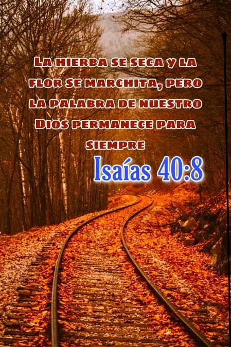 VelazcoNene's tweet photo. https://t.co/28TBSEdv1g