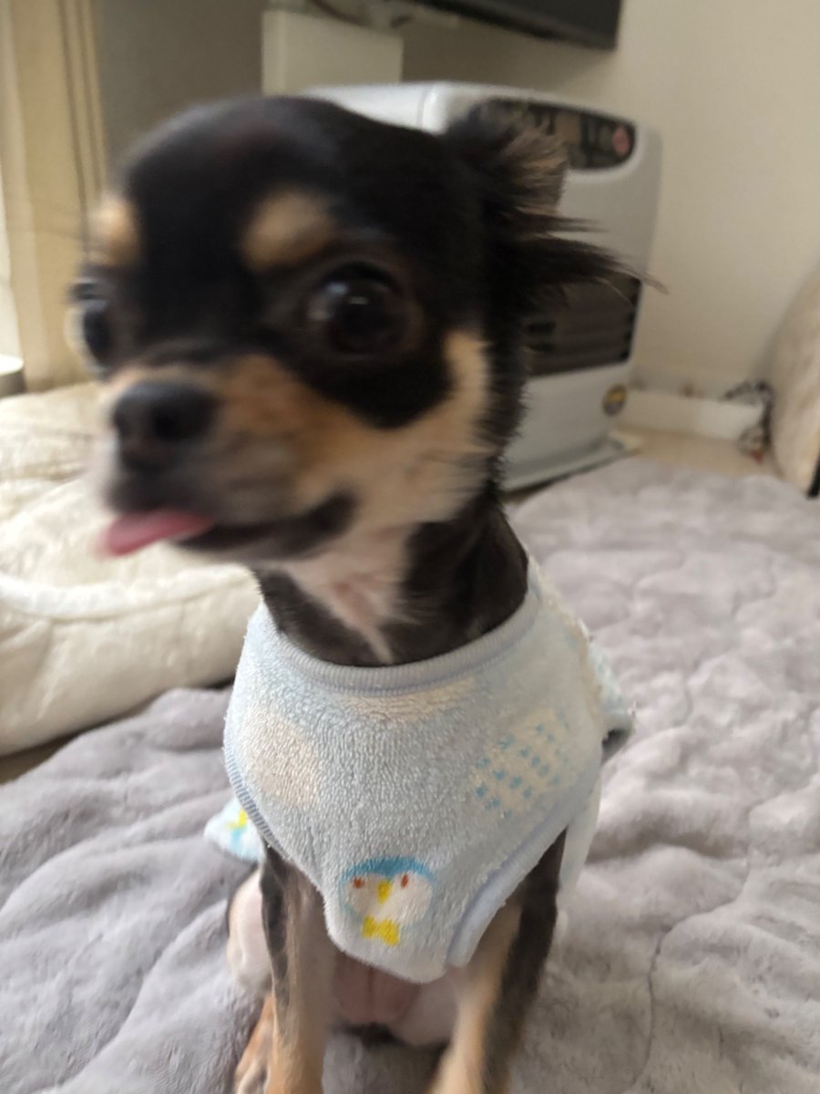 gggggping's tweet photo. 1m https://t.co/NwqyoZr05O