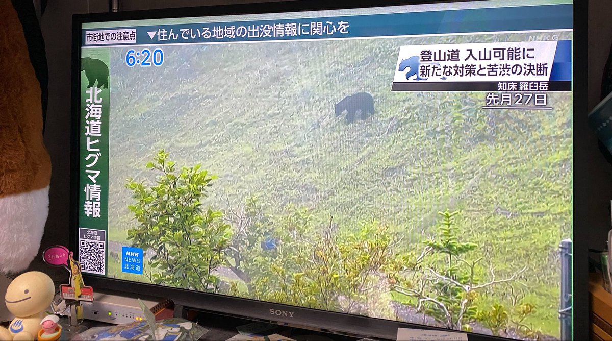 ep34304's tweet photo. 知床横断道路はとてもじゃないけど自転車では走れないなぁ😭 https://t.co/i0sz0NkERz