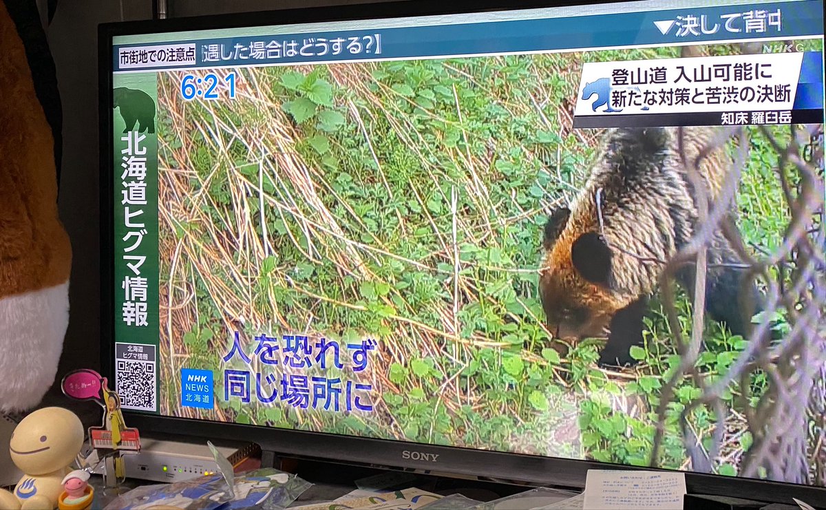 ep34304's tweet photo. 知床横断道路はとてもじゃないけど自転車では走れないなぁ😭 https://t.co/i0sz0NkERz