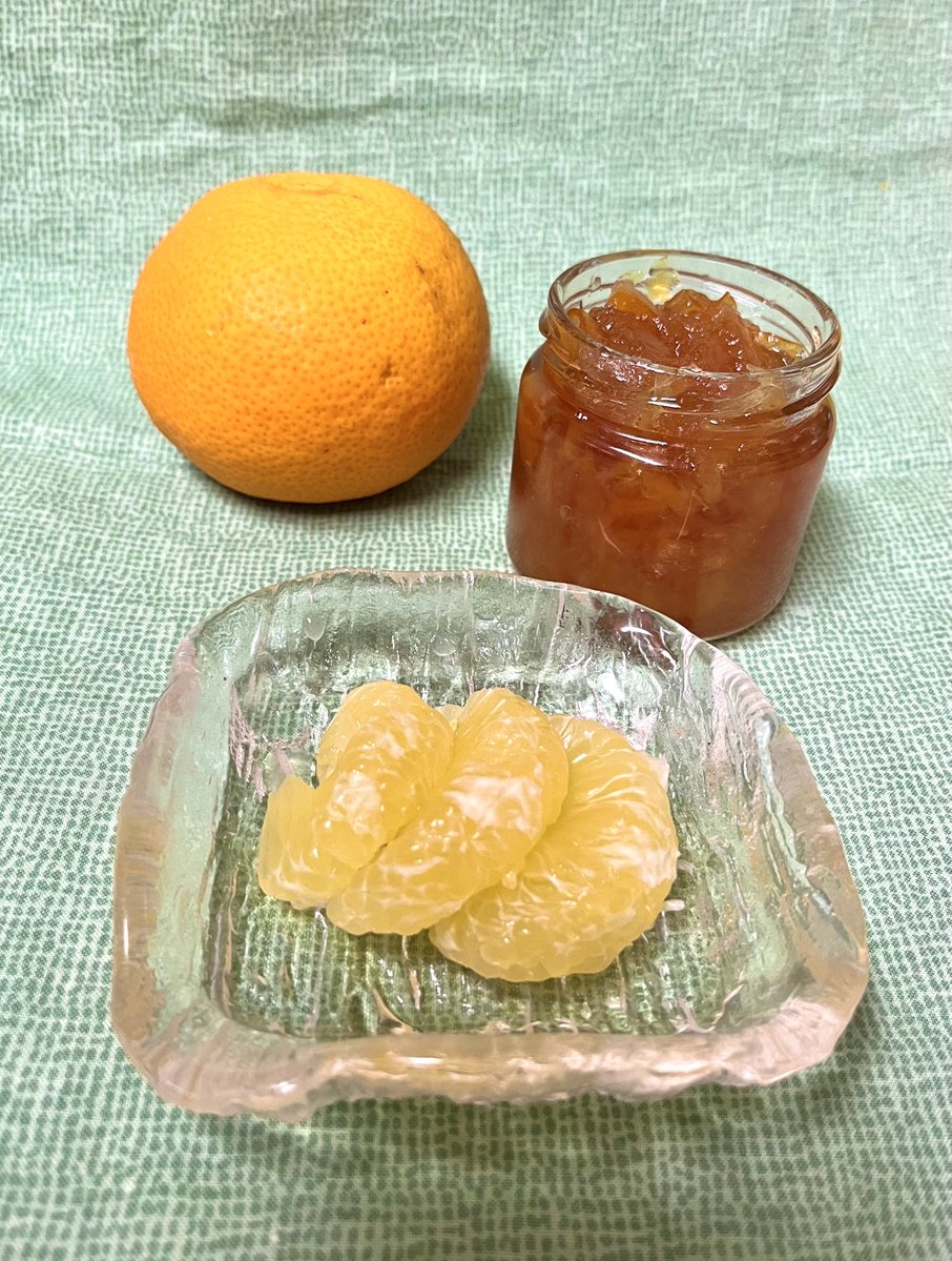 ttcookingstudio's tweet photo. サマーフレッシュ（甘夏×八朔）が手に入ったのでマーマレードを作りました。
甘夏等の柑橘類は、気巡りを良くして消化を助ける働きがあるとされるので、胸のつかえや食べ過ぎ・胃もたれの改善に有効です。
また、潤いを生み出す効能もあるので、喉の渇きや乾燥を軽減します✌️

#T&amp;Tクッキングスタジオ https://t.co/ss79CCAkN5