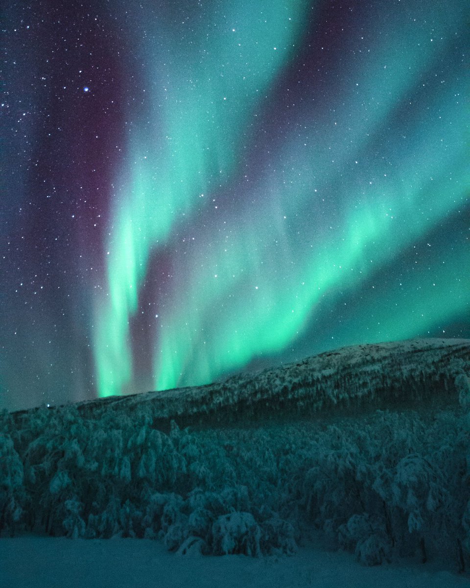 earthcurated's tweet photo. Solar winds hitting the atmosphere never looked so beautiful. ✨ https://t.co/S4LojSTX2I