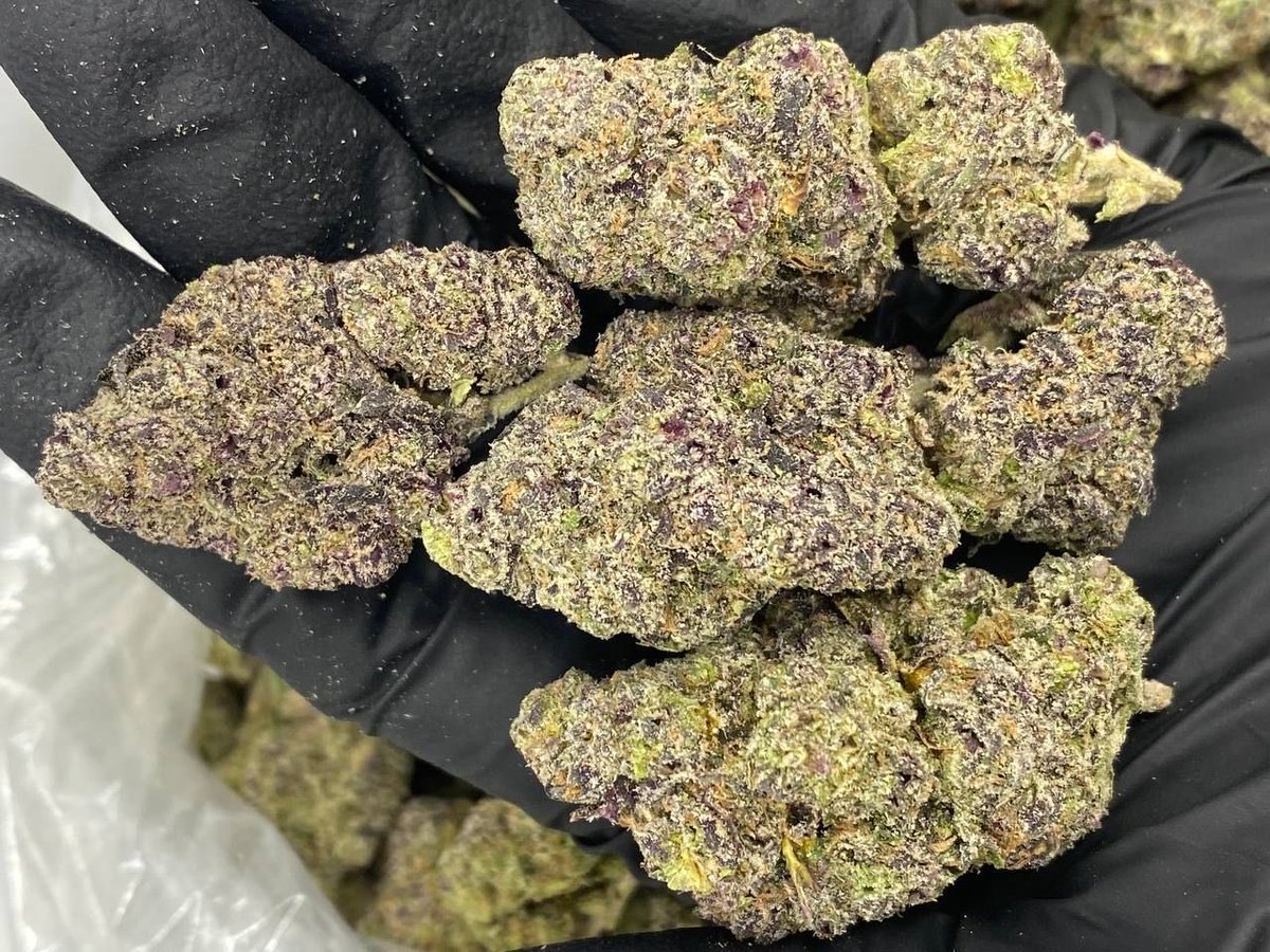 Zamania247's tweet photo. #prerolls #cannabis #cbo #cannabiscommunity #hemp #weedstagram #weed #thc #indica #delta #cannabisculture #edibles #sativa #joints #blunts #marijuana #smoke #gummies #hash #weedlife #medicalmarijuana #flower #preroll #stoner #hybrid #prerolledjoints #infused https://t.co/iYgLx0Px9p