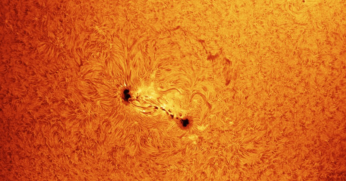 ESA_nl's tweet photo. ☀️ Kijk veilig naar onze dichtstbijzijnde ster tijdens de Landelijke Zonnekijkdag!
Op zondag 5 juli kun je door speciale telescopen zonnevlekken, zonnevlammen en indrukwekkende lussen van gloeiend gas bewonderen. ☀️🔭

☁️ Bewolkt? Ontdek dan wat wolken ons vertellen over het weer , een mooie link met de ‘W’ in KNVWS.
Vind een kijklocatie bij jou in de buurt en laat je verrassen door de zon!

De Landelijke Zonnekijkdag wordt georganiseerd door de @KNVWeerSterren  (Koninklijke Nederlandse Vereniging voor Weer- en Sterrenkunde). Meer informatie en alle locaties vind je via de organisatie:
👉 Bekijk alle details: https://t.co/7lziCSXTJT

📍 Ook bij @Spaceexpo  in Noordwijk kun je tussen 13:00 en 16:00 uur de zon van dichtbij bekijken, in samenwerking met Sterrenwacht Copernicus.

🌤️ Let op: de activiteiten bij Space Expo gaan alleen door als de weersomstandigheden gunstig zijn. De beslissing wordt op de dag zelf genomen, daarom verschijnt er vooraf geen update op de website.

#Zonnekijkdag #Astronomie #Zon #SpaceExpo #Noordwijk #Ruimtevaart
