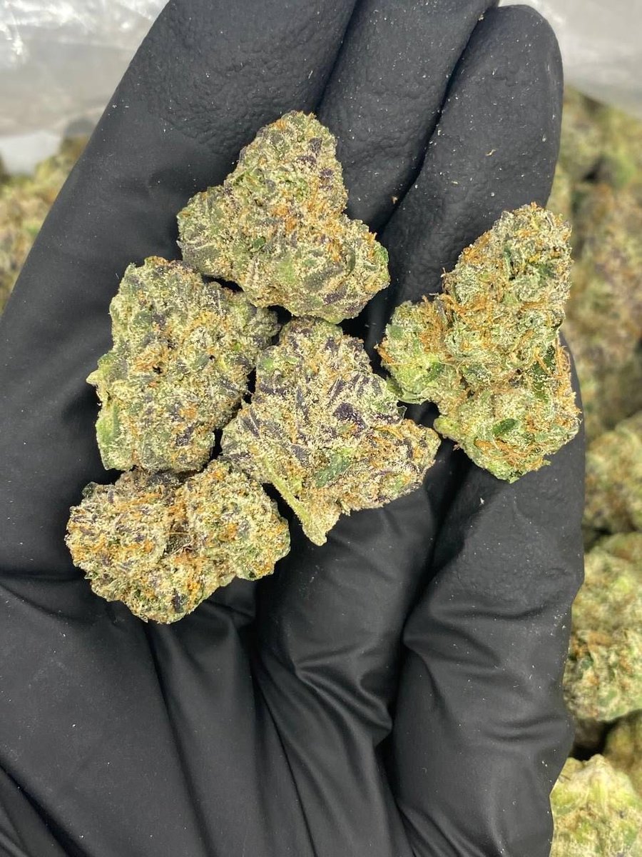 Zamania247's tweet photo. #prerolls #cannabis #cbo #cannabiscommunity #hemp #weedstagram #weed #thc #indica #delta #cannabisculture #edibles #sativa #joints #blunts #marijuana #smoke #gummies #hash #weedlife #medicalmarijuana #flower #preroll #stoner #hybrid #prerolledjoints #infused https://t.co/iYgLx0Px9p