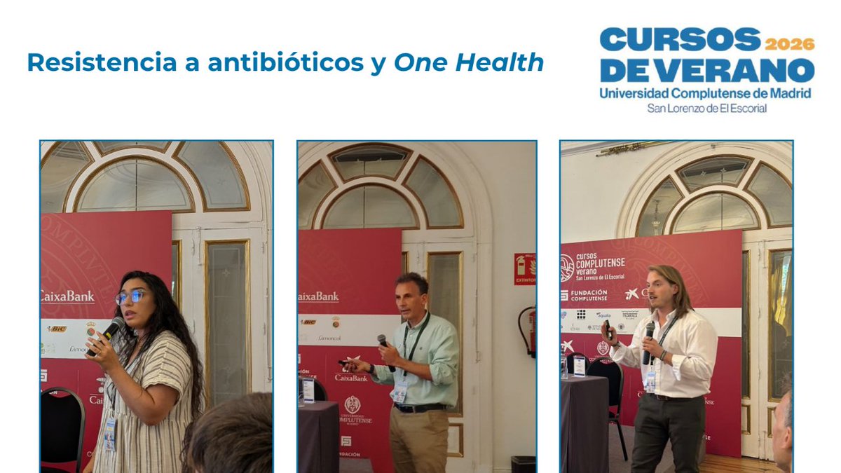 Plan Antibióticos tweet media