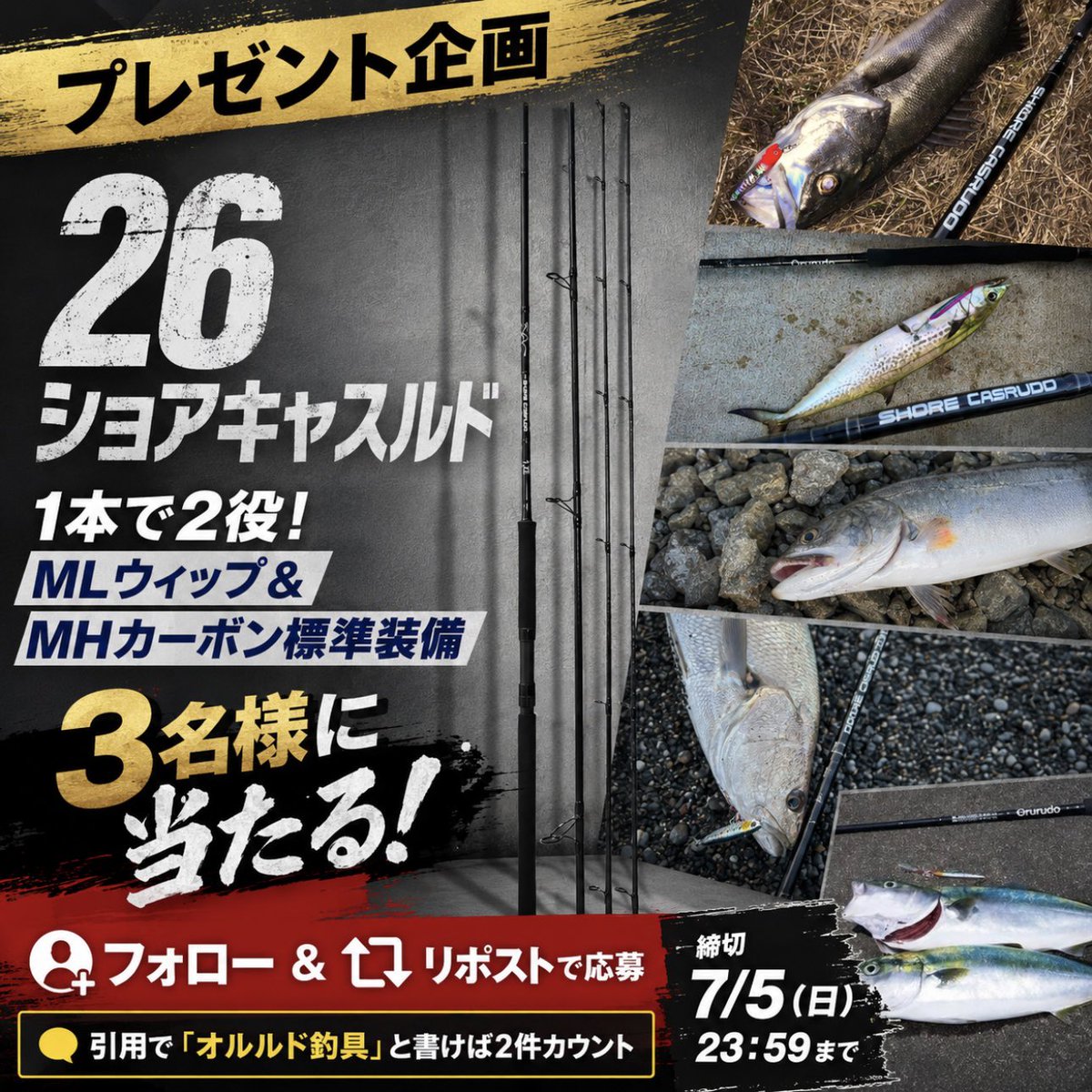orurudojp's tweet photo. 【有言実行】プレゼント企画発動🔥

“ティップ変えるだけで実質2本！”

【26ショアキャスルド】が3名に当たる！

超ライトとスタンダードティップ標準装備の

【異端ロッドです】

参加方法
フォロー&amp;リポスト（引用も含む）
引用で「オルルド釣具」 と書けば応募2件カウント

締切7/5(日) 23:59まで https://t.co/pXQriKPFid