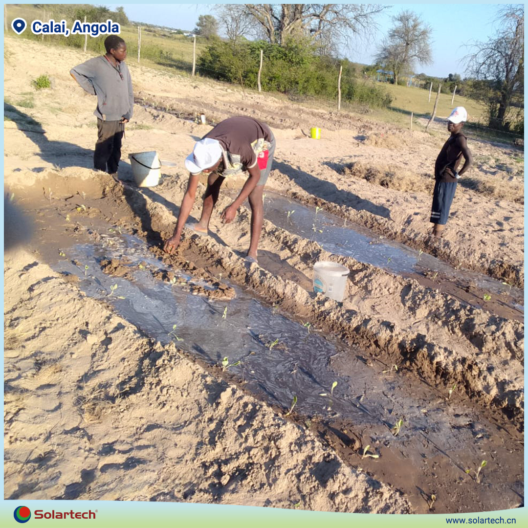 Chinasolartech's tweet photo. 🌍🤝 Solartech is proud to support the #ADSWAC Project —a multi‑stakeholder initiative led by the Government of #Angola, the Sahara and Sahel Observatory, the Adaptation Fund, and #ADPP/DAPP—with our PB‑G3 Series solar pumping systems in Calai and surrounding regions. #SolarPump https://t.co/CyacUFfy3L