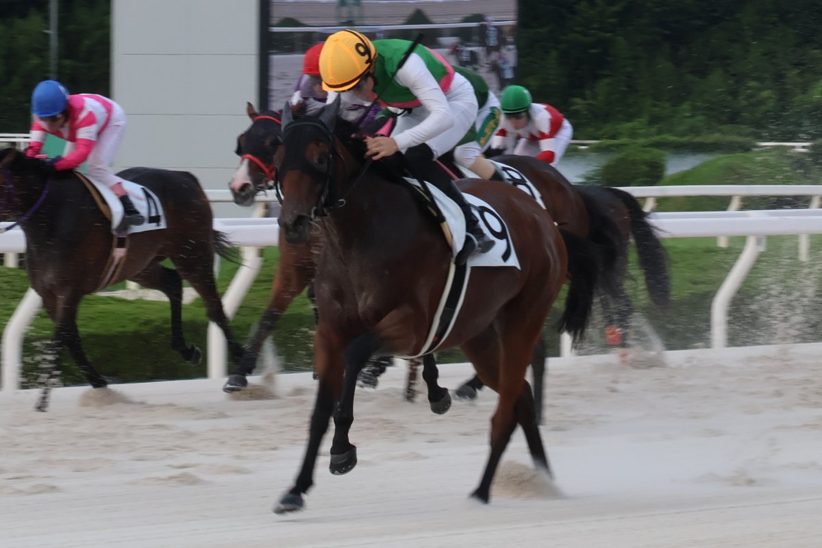 阪神アーバン競馬】園田競馬 8Rは、山本咲希到騎手が、本日3勝目