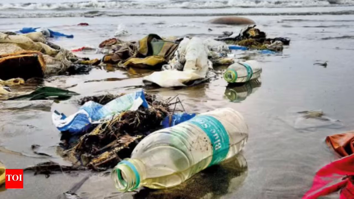 meetvazz's tweet photo. Chennai needs a thorough review on single use plastic and ban on littering in public places. Kindly impose an immediate ban on single use plastic bags and let’s keep our state cleaner and greener. @ashasree @DR_Vk_Rajeev @CMOTamilnadu https://t.co/7v2SqDc12X
