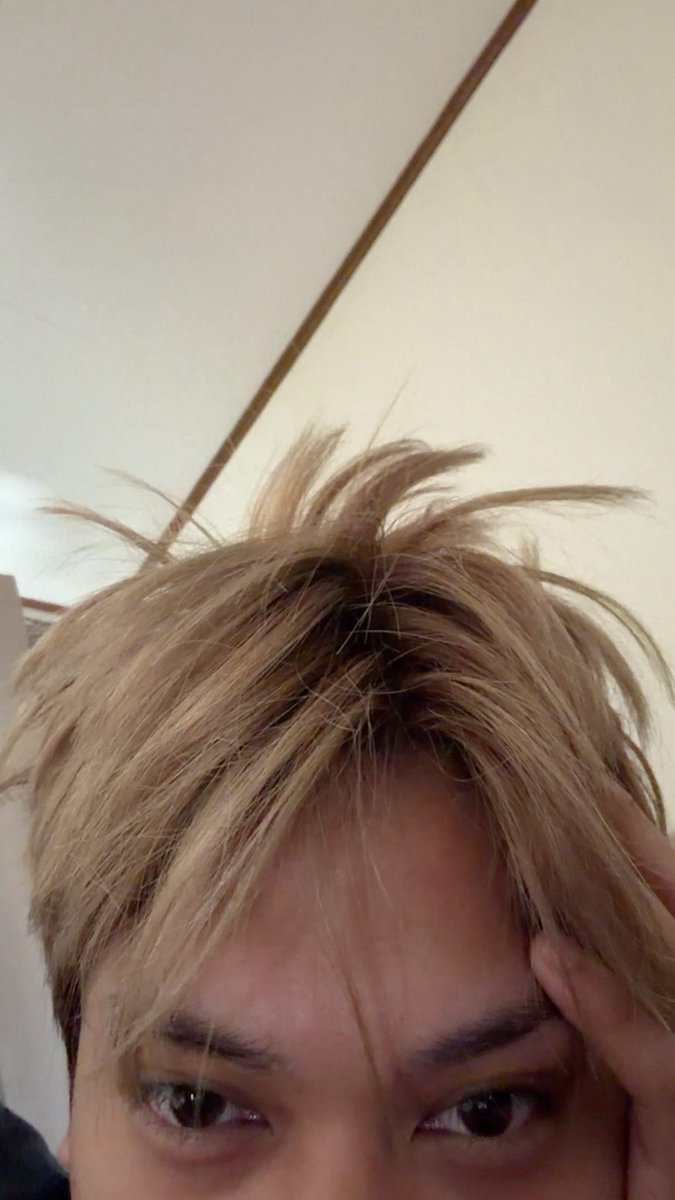 Inbituinpinas's tweet photo. [LUNA IG BC UPDATE] 07/03/2026

“bed hair”
“pwede rin walis?!? ha”

#INBITUIN #INBITUIN_LUNA ♥️🐱 https://t.co/8gkDTVfDDy