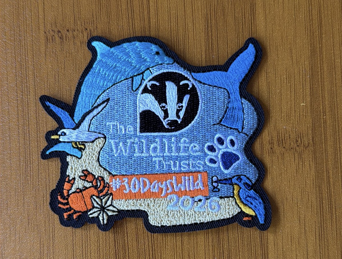 38Octavian's tweet photo. We have received our certificate and look at this beautiful embroidered patch for our 2026 #30DaysWild it was a great month ~ Phoebe, Teddy Henri &amp; Kitty P #Hedgewatch @TeresaLAlley1 @stichof9lives https://t.co/XfFvM5HgBO