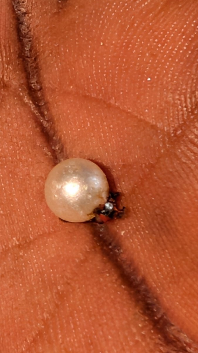 arojinle1's tweet photo. This is what my three year old son, Ajíbọ́lá, inserted in both of his ears today. You needed to see how I ran out of the gym when I received the call from his school. https://t.co/OL1EncjJkM