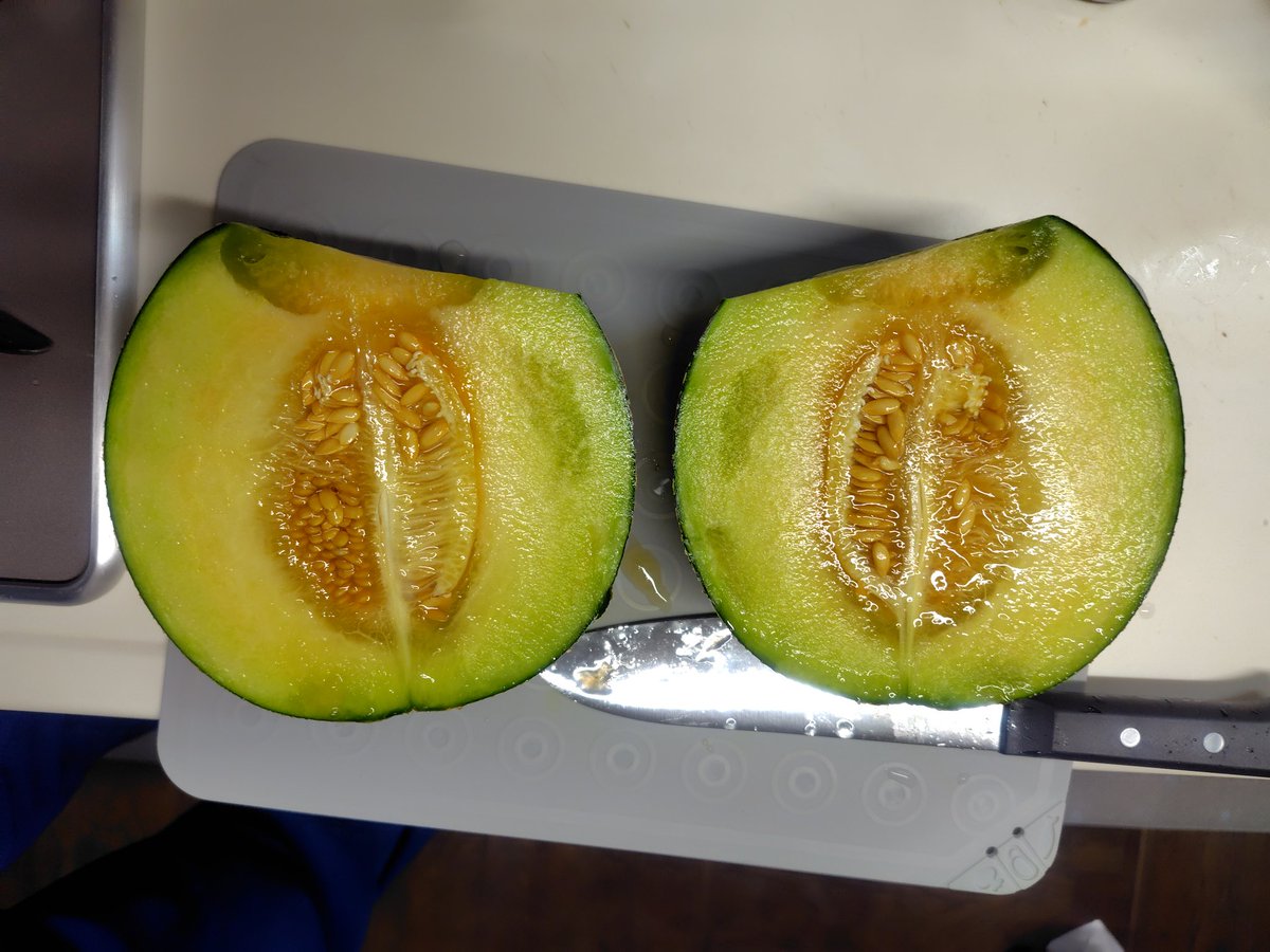 hosobosochousa's tweet photo. メロン　銚子アムス
あま～い✨️ちょっと香りが他のメロンと違う気が(・・?　内側が黄色で、やんわりツートンカラー。
教えて貰っていた食べ頃をサクランボにうつつを抜かしたために越しており、カビが生えた頭をカットしています(^_^;)でも美味い！ https://t.co/flWQrTRjhh