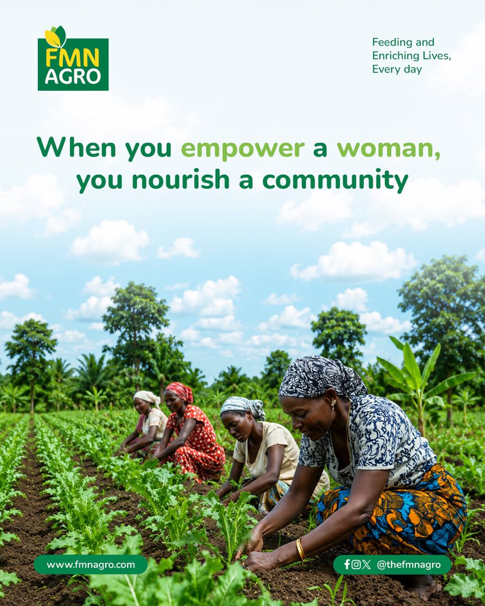 TheFMNAgro's tweet photo. True agricultural development starts with giving the right tools to those who nurture the land

Through Project YALWA, FMN Agro in partnership with the West Africa Trade &amp; Investment Hub (WATIH) and funded by USAID, is proud to have empowered hundreds of female farmers in Nigeria https://t.co/xFFbPLQpwr