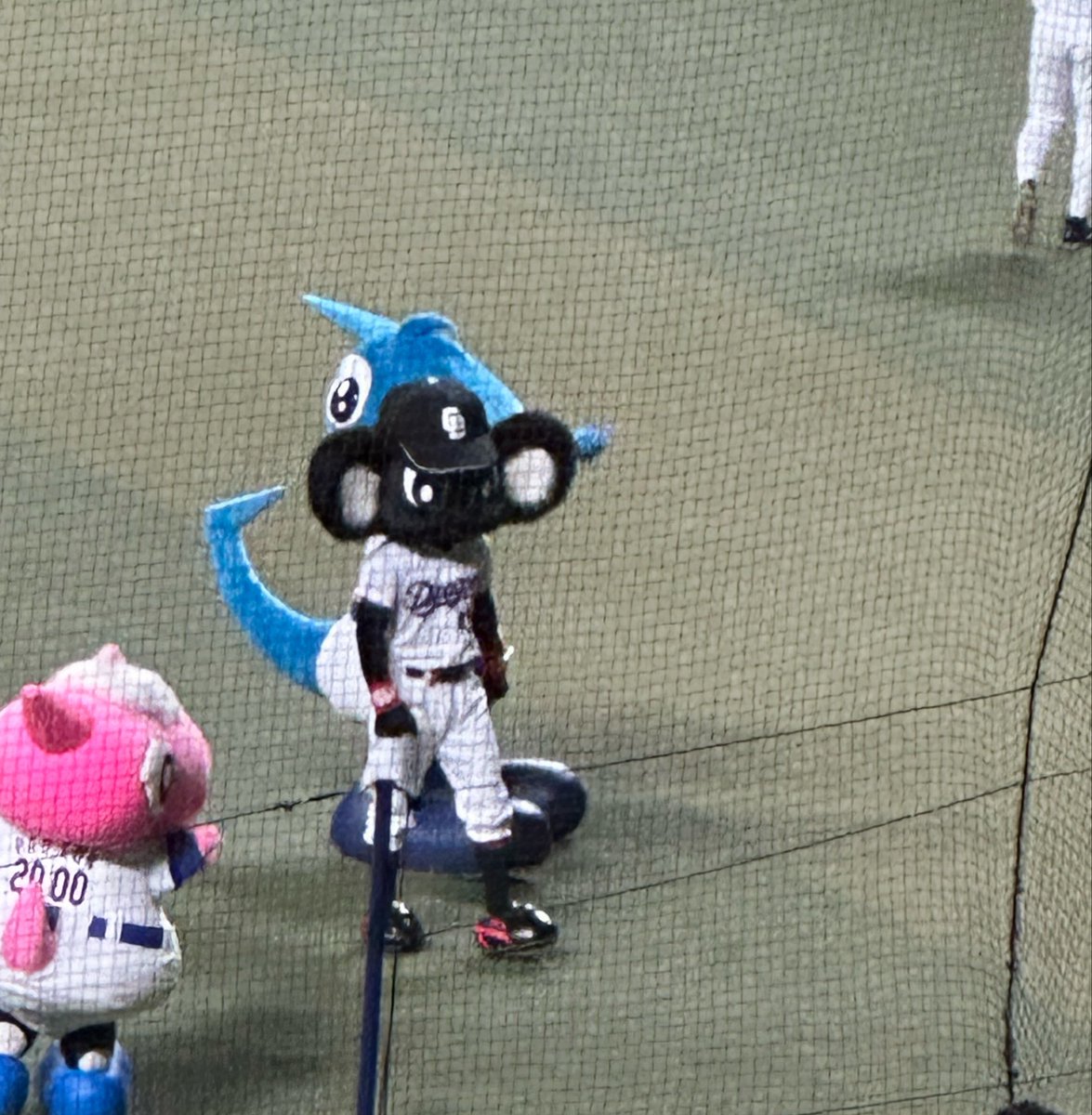RTsy13's tweet photo. 本日初お披露目乗れたブラックどあらさん。
リアクション若いですよねー😊 https://t.co/9EcI5063pY