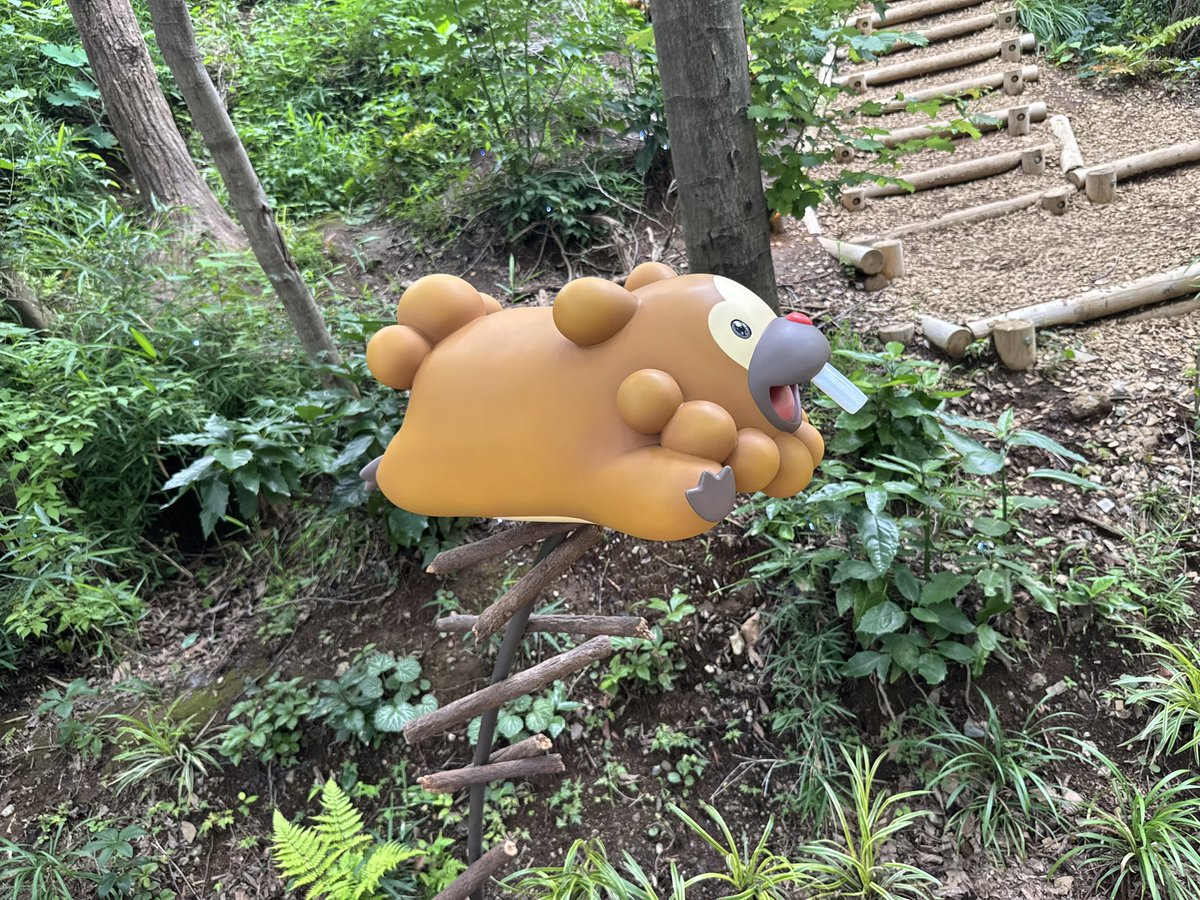 imagination_md's tweet photo. ポケパークでビッパが飛んでてかわいかった〜🫶 https://t.co/3zDTHr8VbD