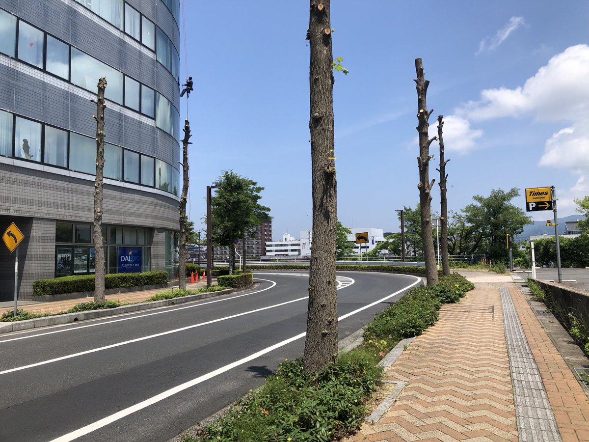 kumamariko's tweet photo. 2日目の朝（昼近く） https://t.co/OX3m6r716j