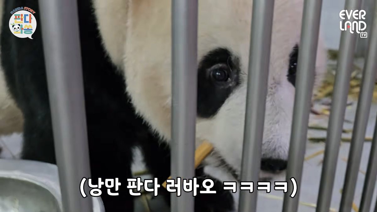 dolyang_'s tweet photo. 러윤발

와중에 낑이 눈 왜케 예쁨 https://t.co/GshFes8CjP